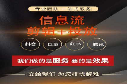百度广告投放策略优化及成功案例解析